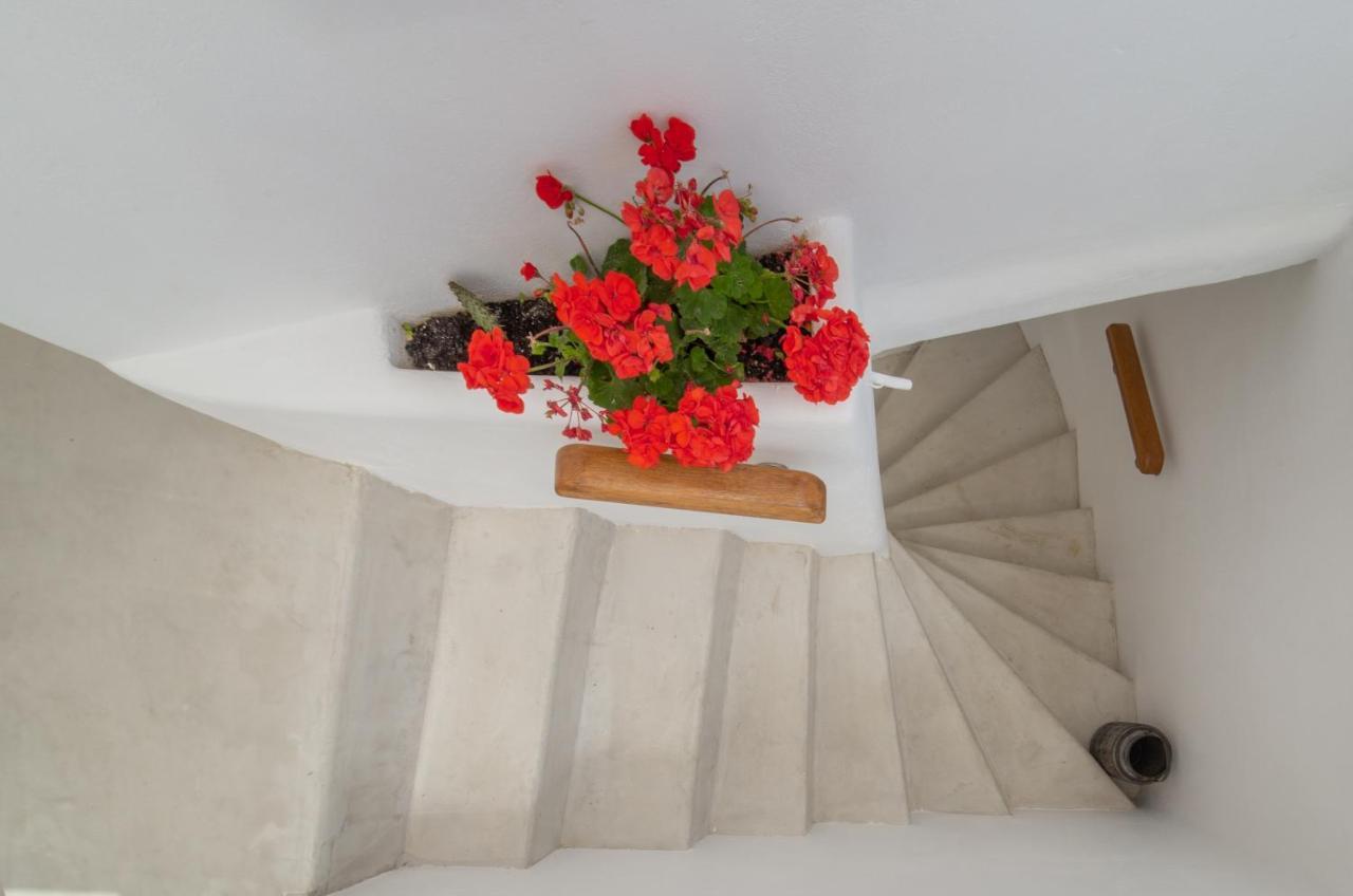 Lasia Boutique Apartment Ándros Екстериор снимка